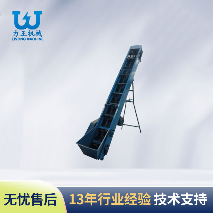 山东杏鲍菇输送机